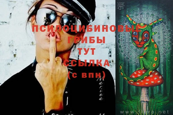MDMA Михайловка