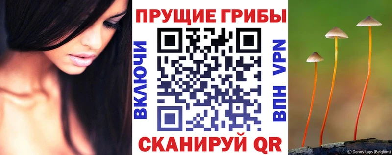 цены   Яхрома  Галлюциногенные грибы Psilocybine cubensis 
